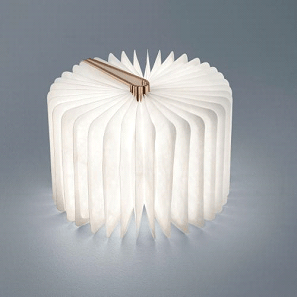 Ein offenes Buch mit einem Licht darin