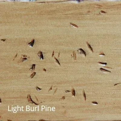 Close-up of light burl pine wood surface with scattered, irregular dark markings.