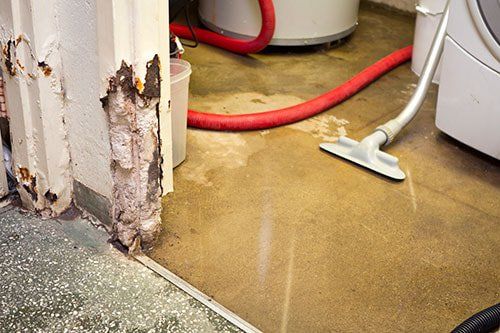 A vacuum cleaner is sitting on the floor of a flooded basement.