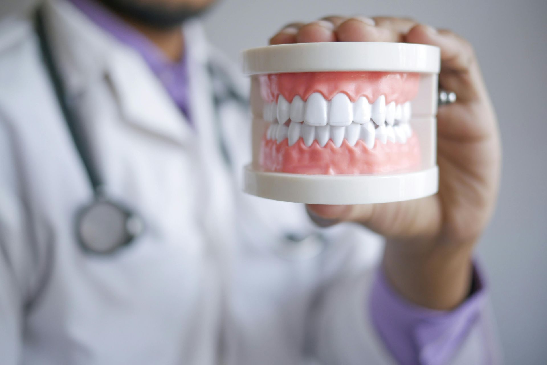Photo of dentist holding a model of a mouth, showing both bottom and top rows of teeth and gums
