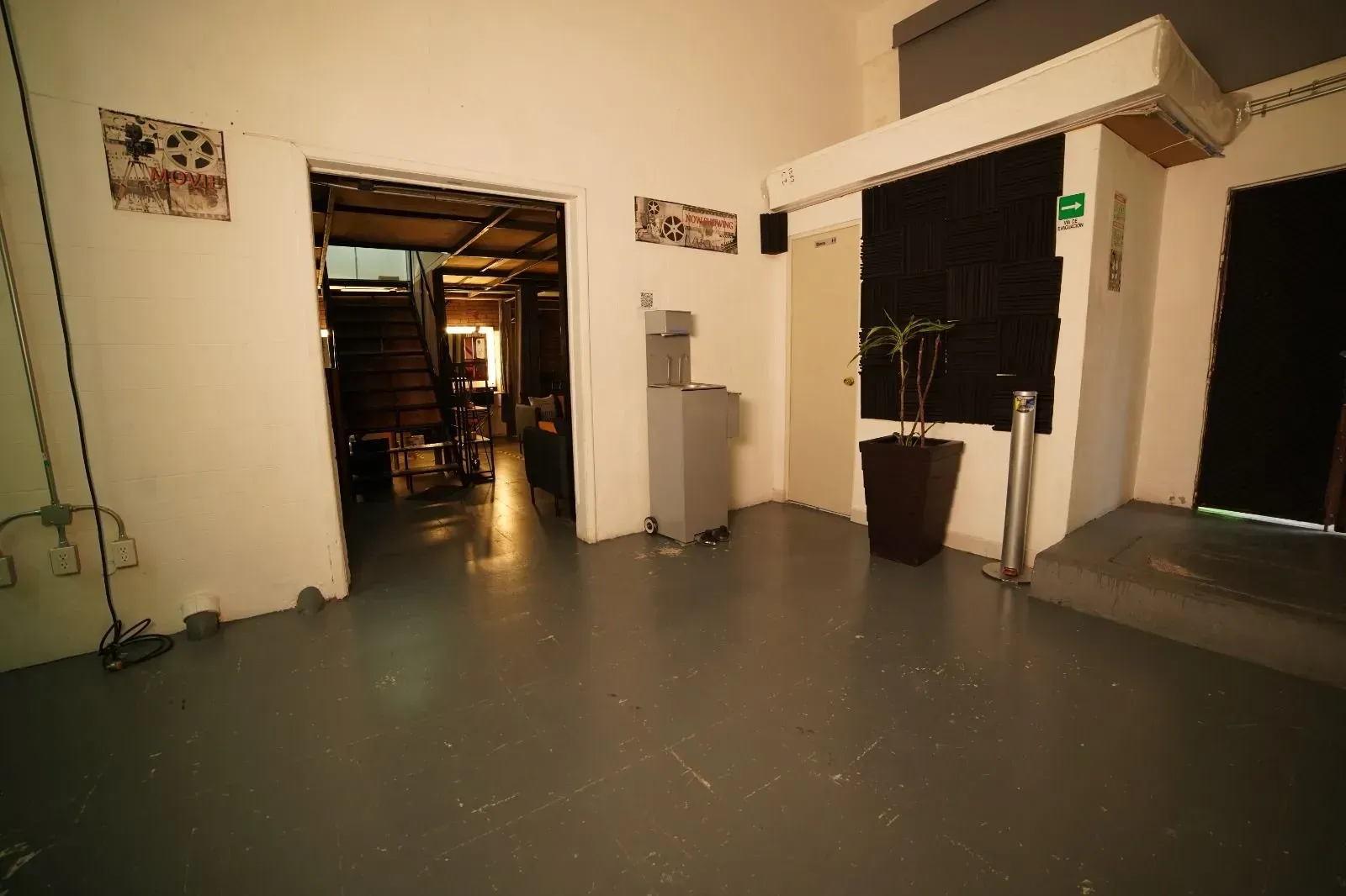 Hay una planta en el medio de la habitación.