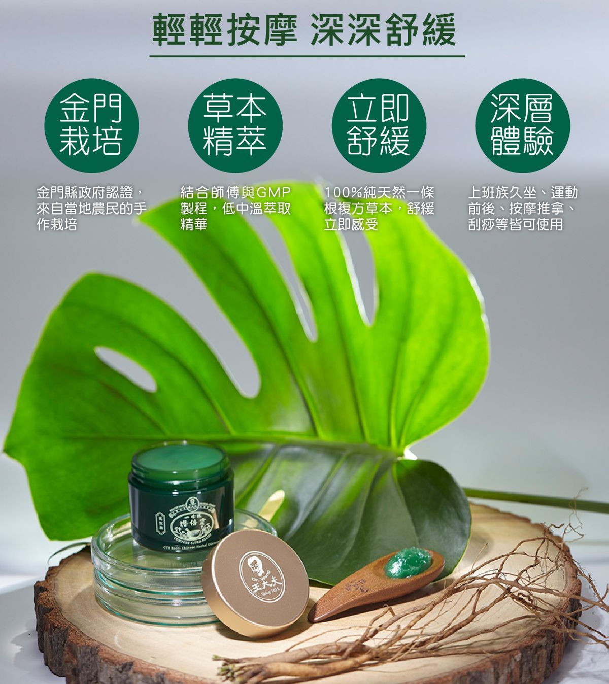 【一條根貼倍靈貼布 (輕便款) & 一條根擦倍靈油膏(50g)】經典組合