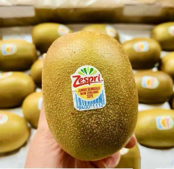 預購-【Zespri】i紐西蘭黃金奇異果(原箱18-22入/約3.3Kg±10%含盒重)