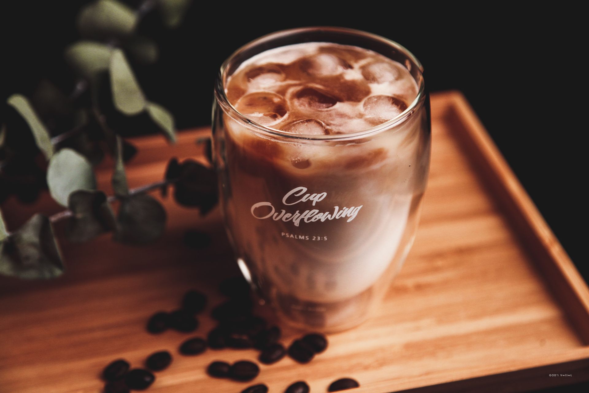 福杯滿溢2入1組