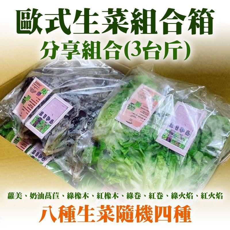 歐式生菜組-單次配送