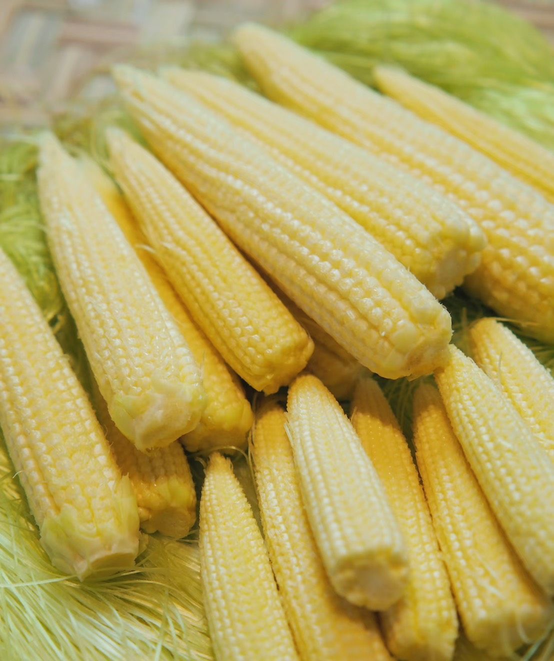 【果農直送】紅鬚玉米筍有機肥、無農藥栽培