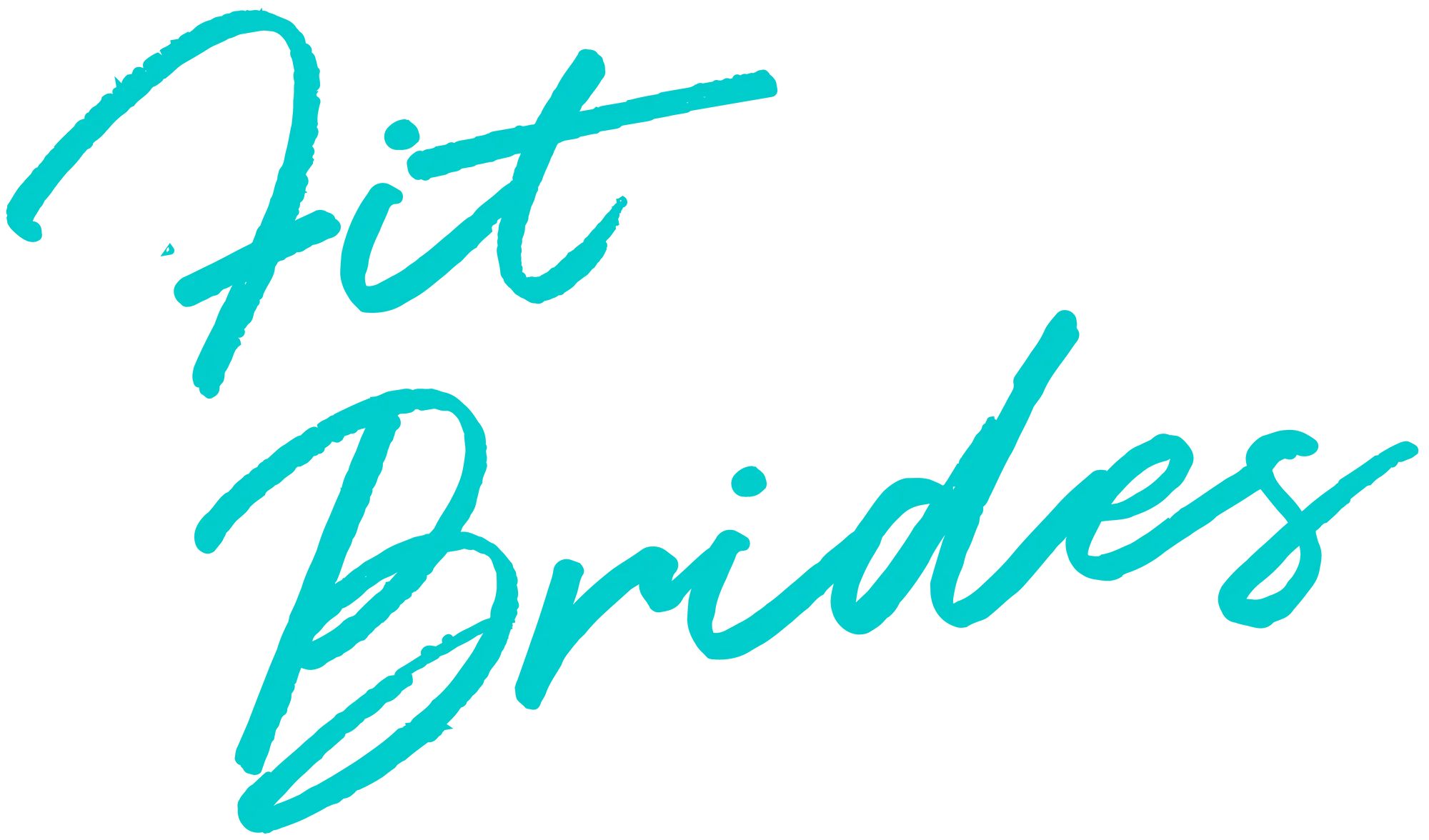FIT BRIDES