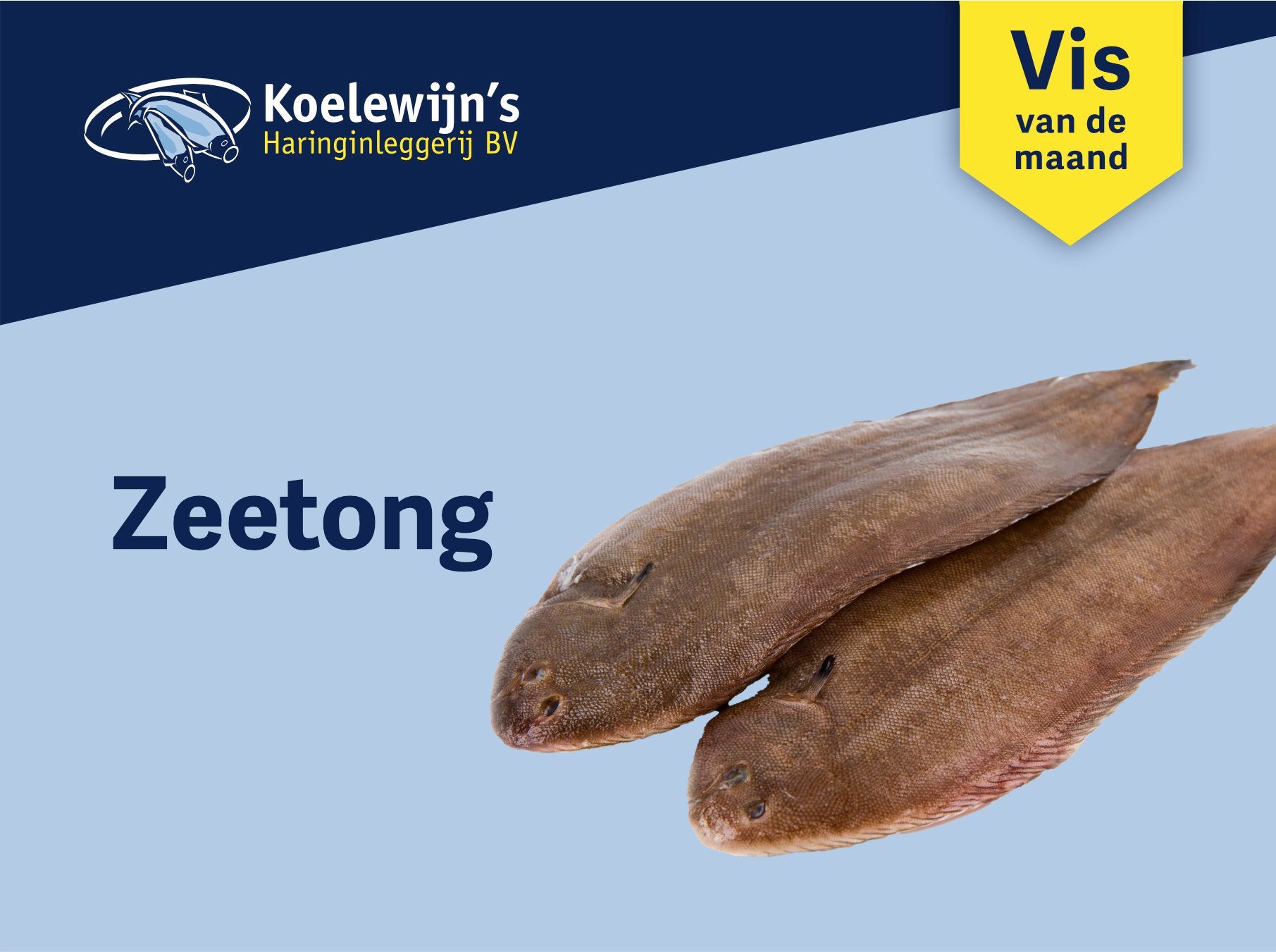 vis van de maand, zeetong, Koelewijn's Haringinleggerij