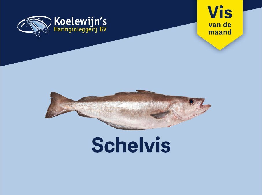 Koelewijn Haringinleggerij Schelvisfilet: veelzijdige witvis voor pocheren, bakken of oven