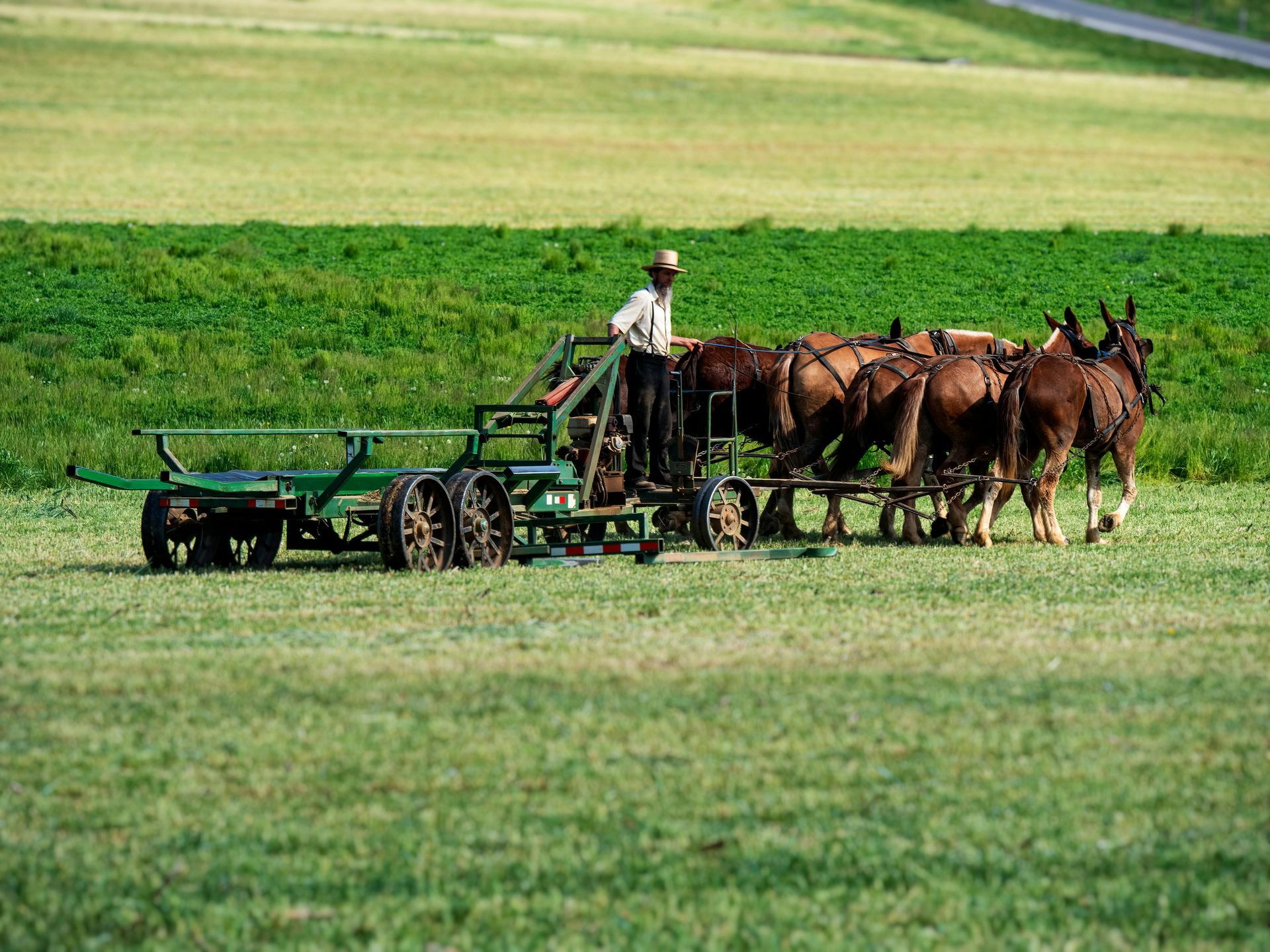Farmer drives a horse-drawn plow across a green field