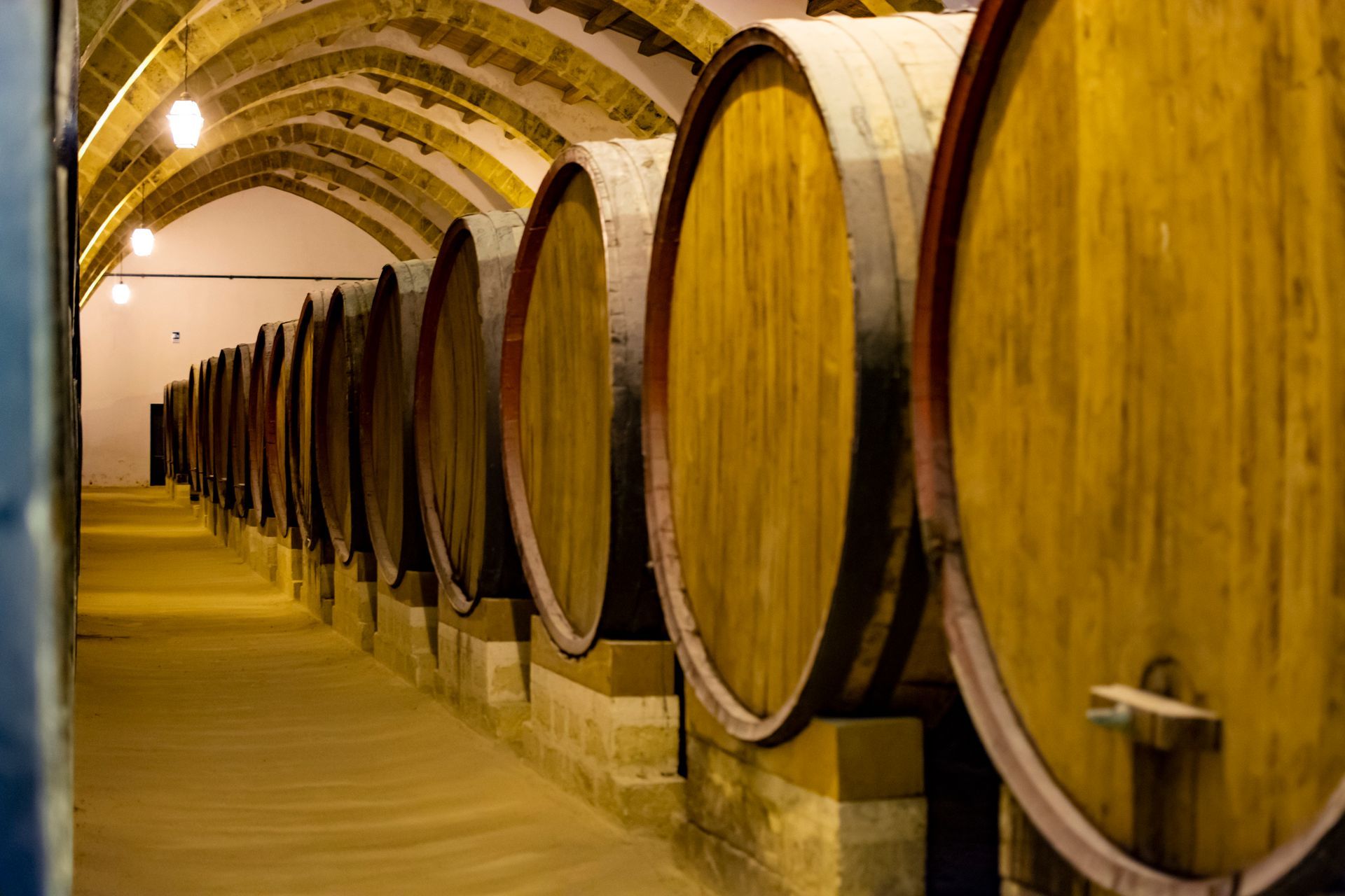 Fila di botti di legno per il vino in una cantina a volta scarsamente illuminata.