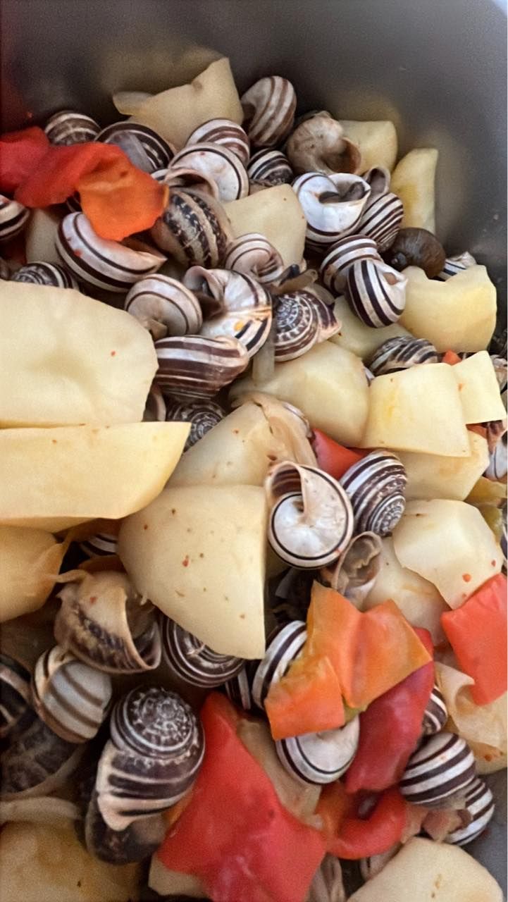 Lumache, patate e peperoni rossi in una pentola di metallo.