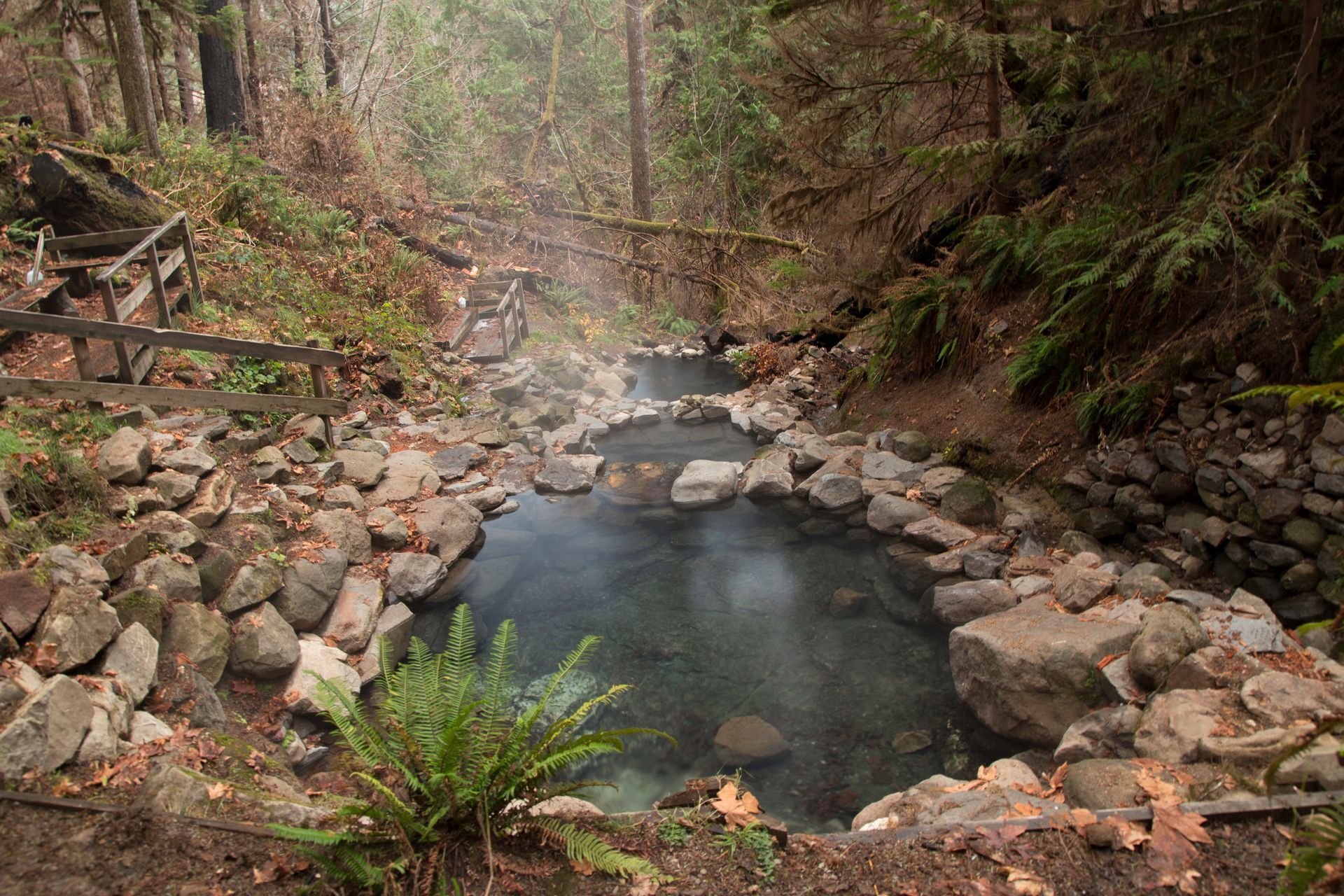 Natural stone hot spring pools steaming in a lush, forested mountain setting with a wooden walkway nearby.