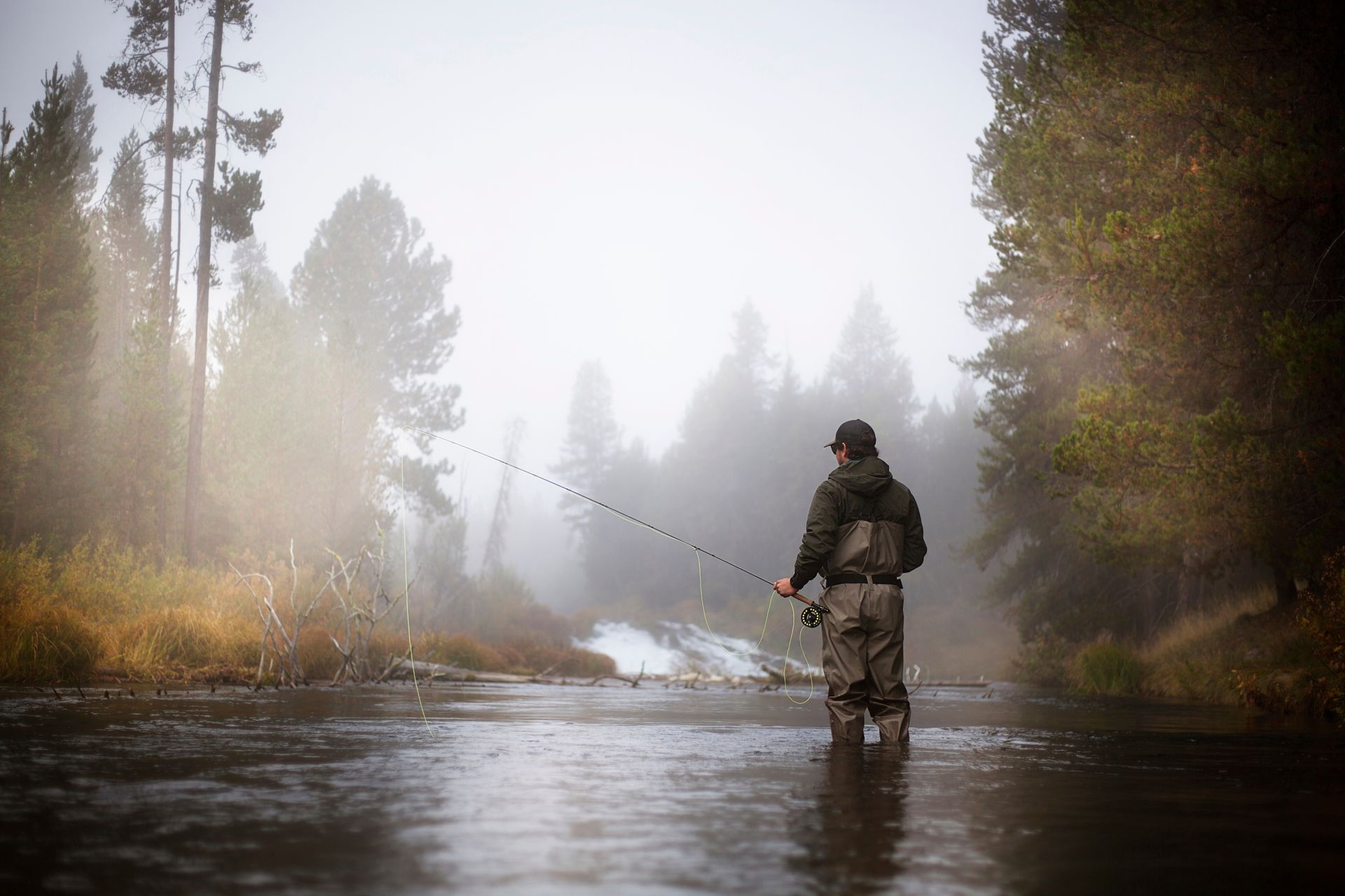 Fisherman wading in a misty river, casting a line. Forest in background.