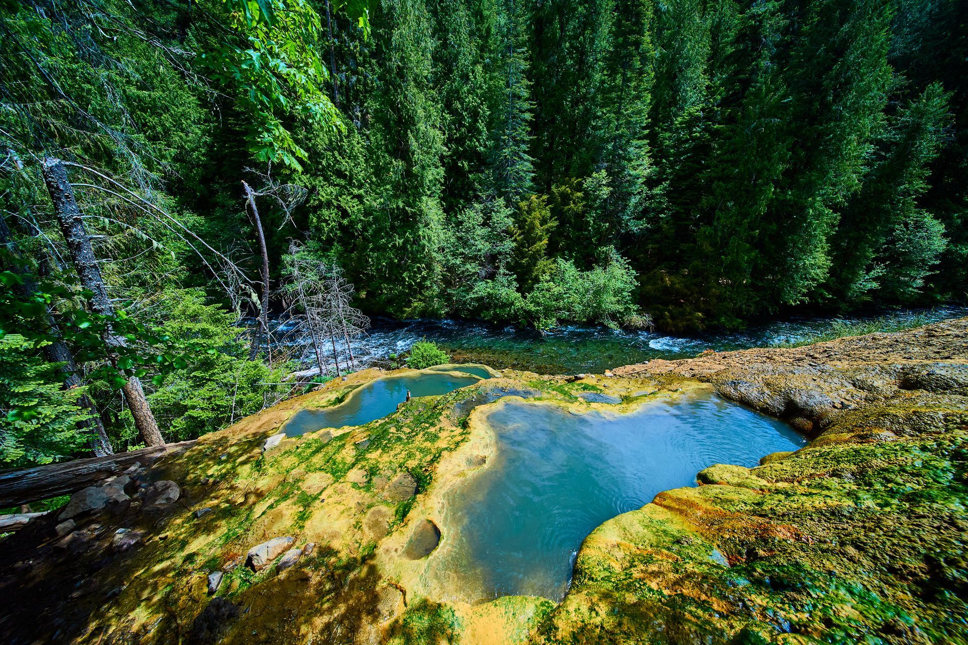 Bright blue geothermal pools sit on a terraced, mossy hillside overlooking a rushing river in a dense, green forest.