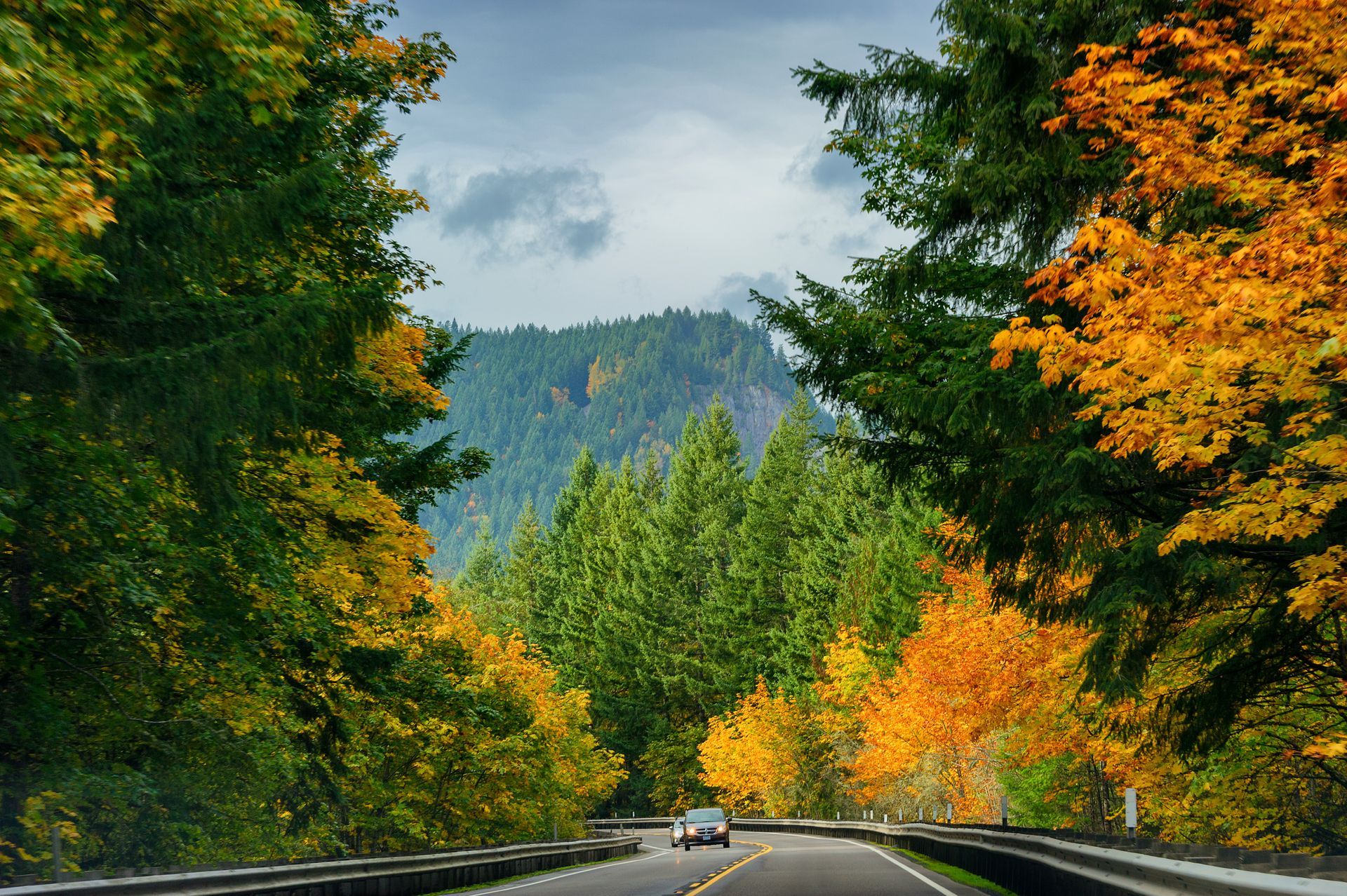 Road curves through autumn trees towards a forested mountain under a cloudy sky.