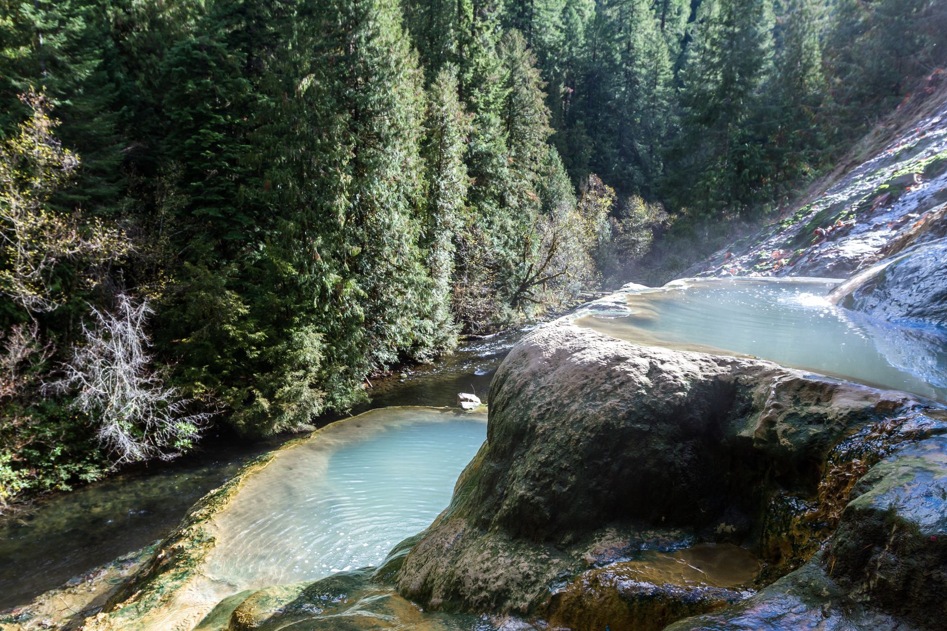 Two tiered, turquoise-colored natural hot spring pools surrounded by a lush pine forest.