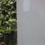 A close up of a white container with a plant in the background.