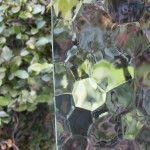A close up of a piece of glass surrounded by plants.
