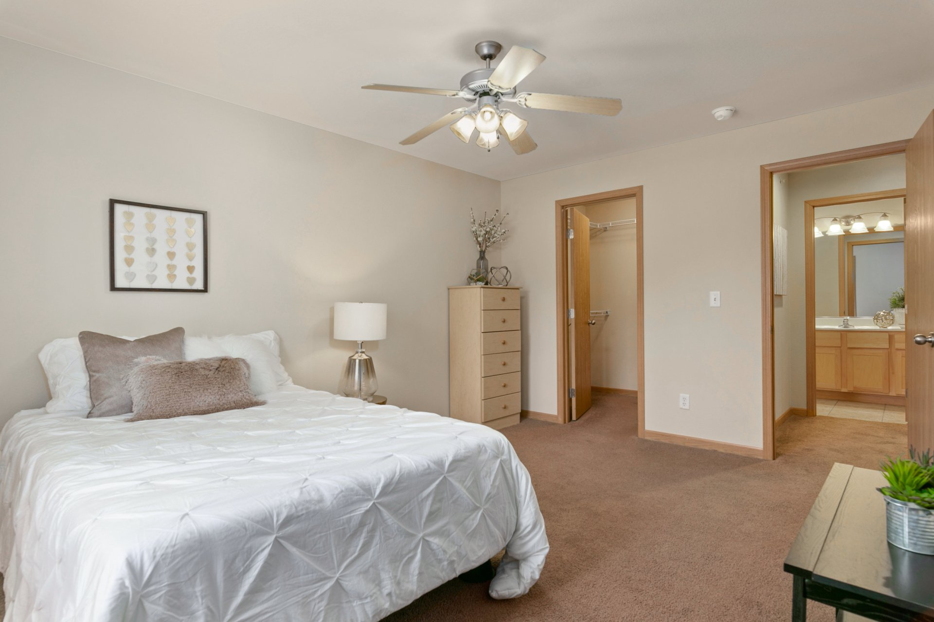 Bedroom with walk-in closet