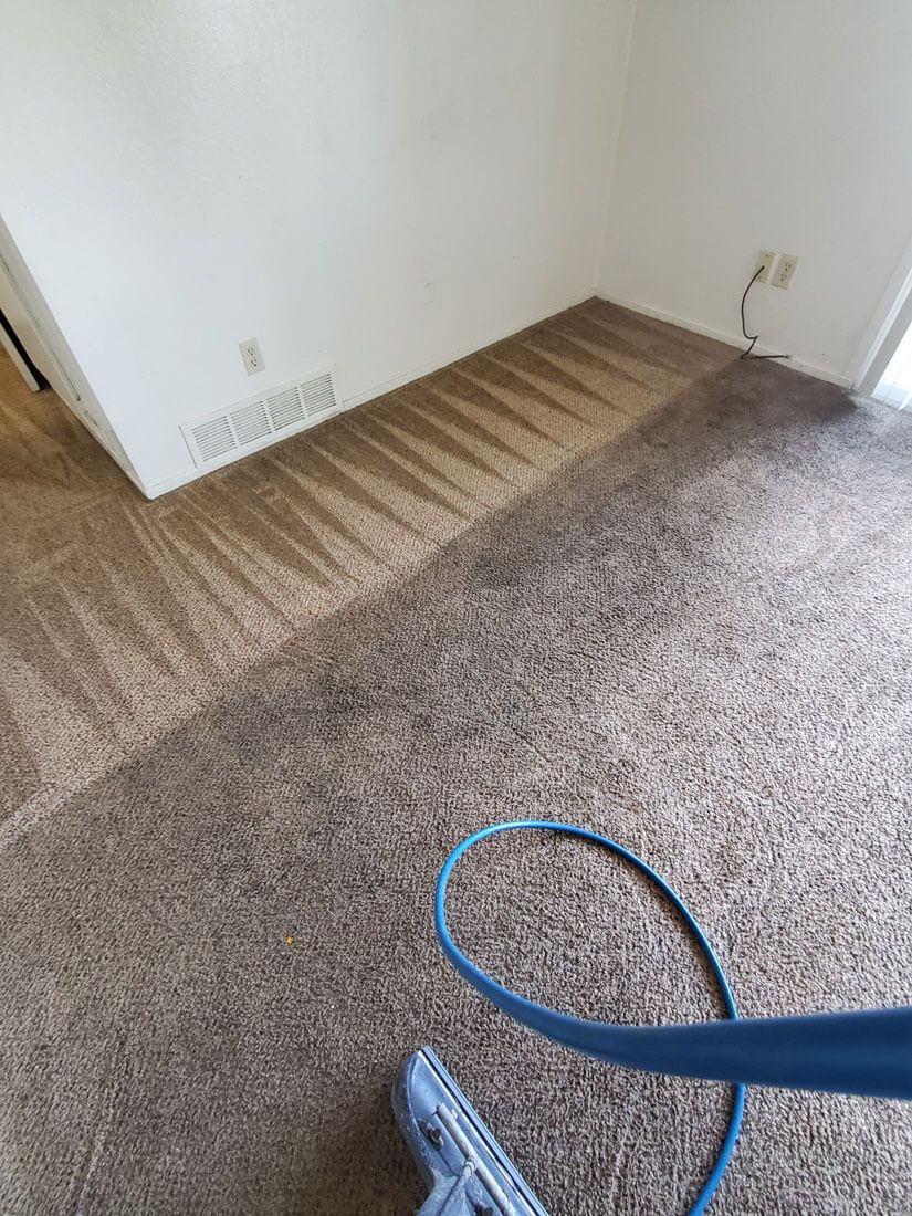 Quality Floor Care Carpet Cleaning Fresno