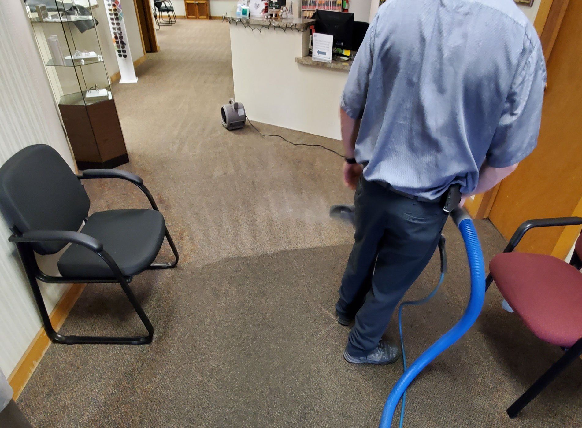 Carpet Cleaning