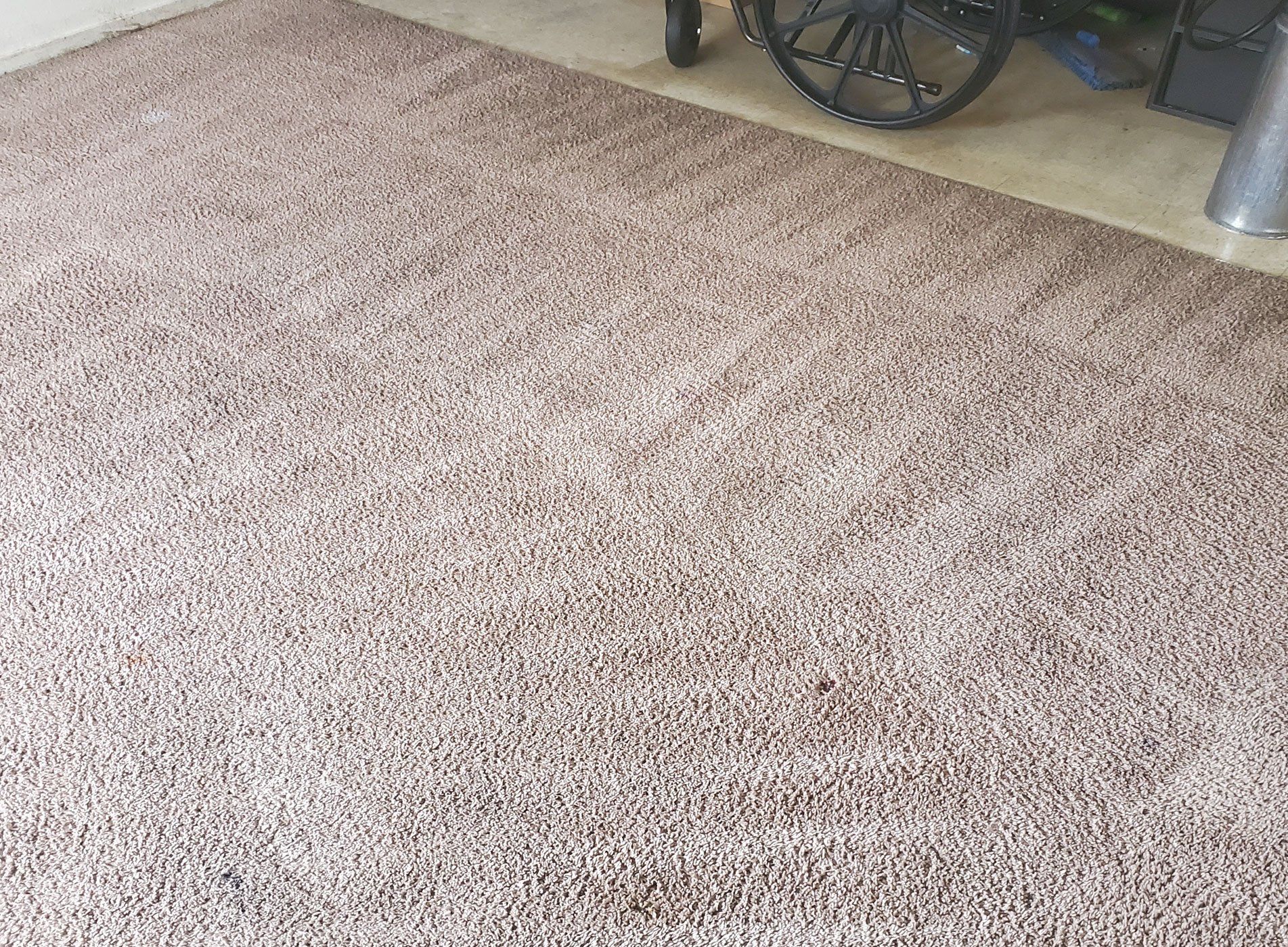 carpet cleaning fresno 1
