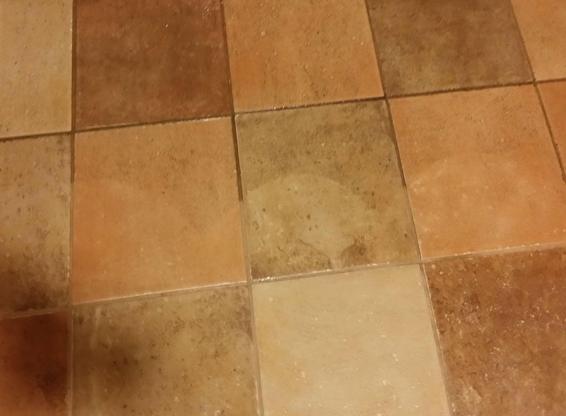 Tile Cleaning