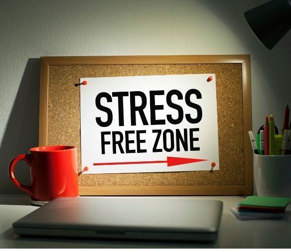 A cork board with a sign that says stress free zone