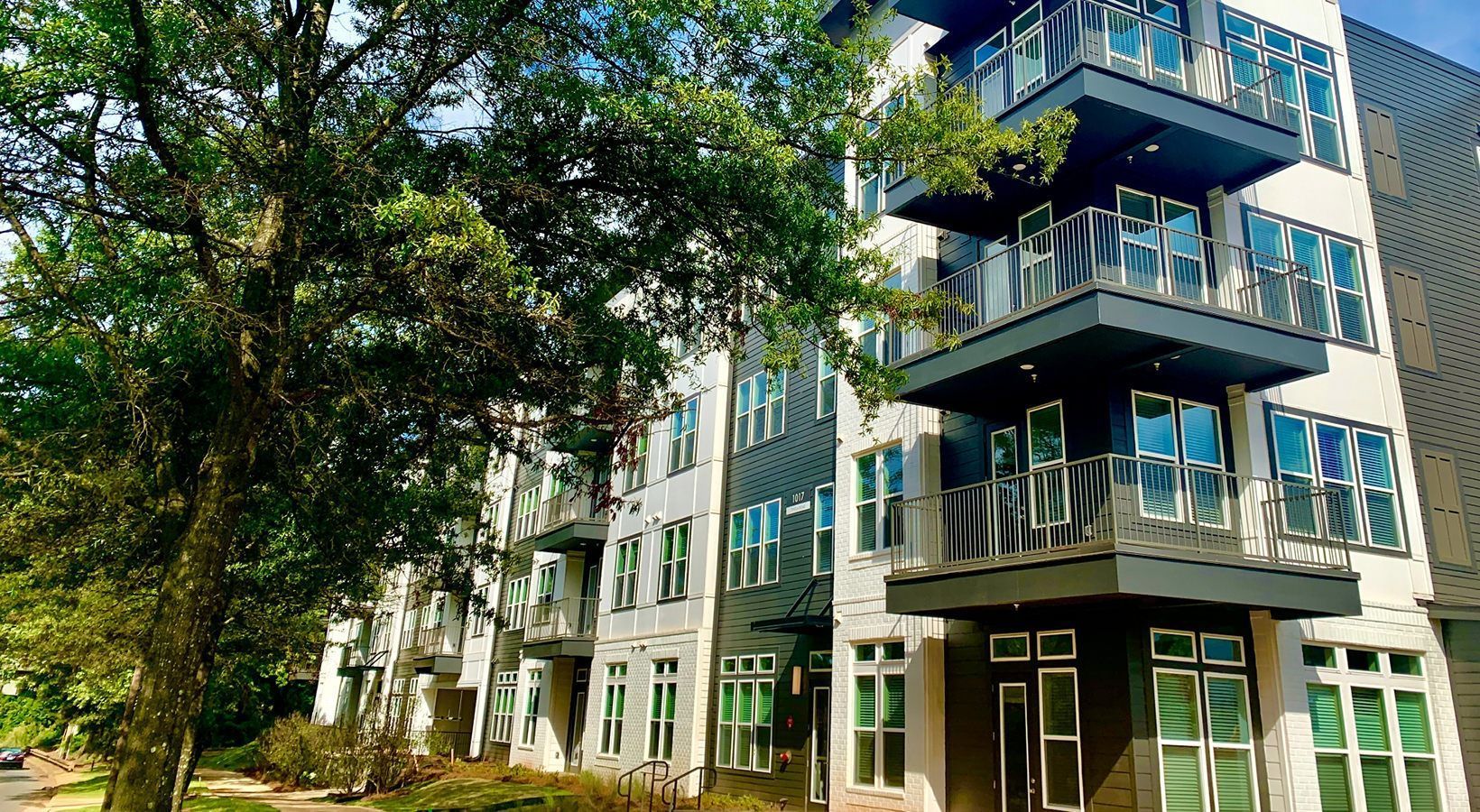 Modern multi-story apartment building with balconies and large windows; a large tree in front.
