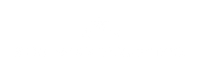 Blank white rectangular image with a thin light-blue border at the bottom