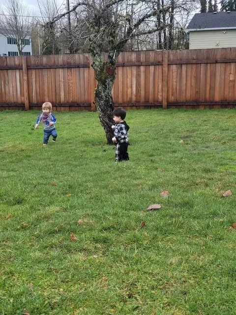 Two young children running on a green lawn toward a tree; brown wooden fence in background.