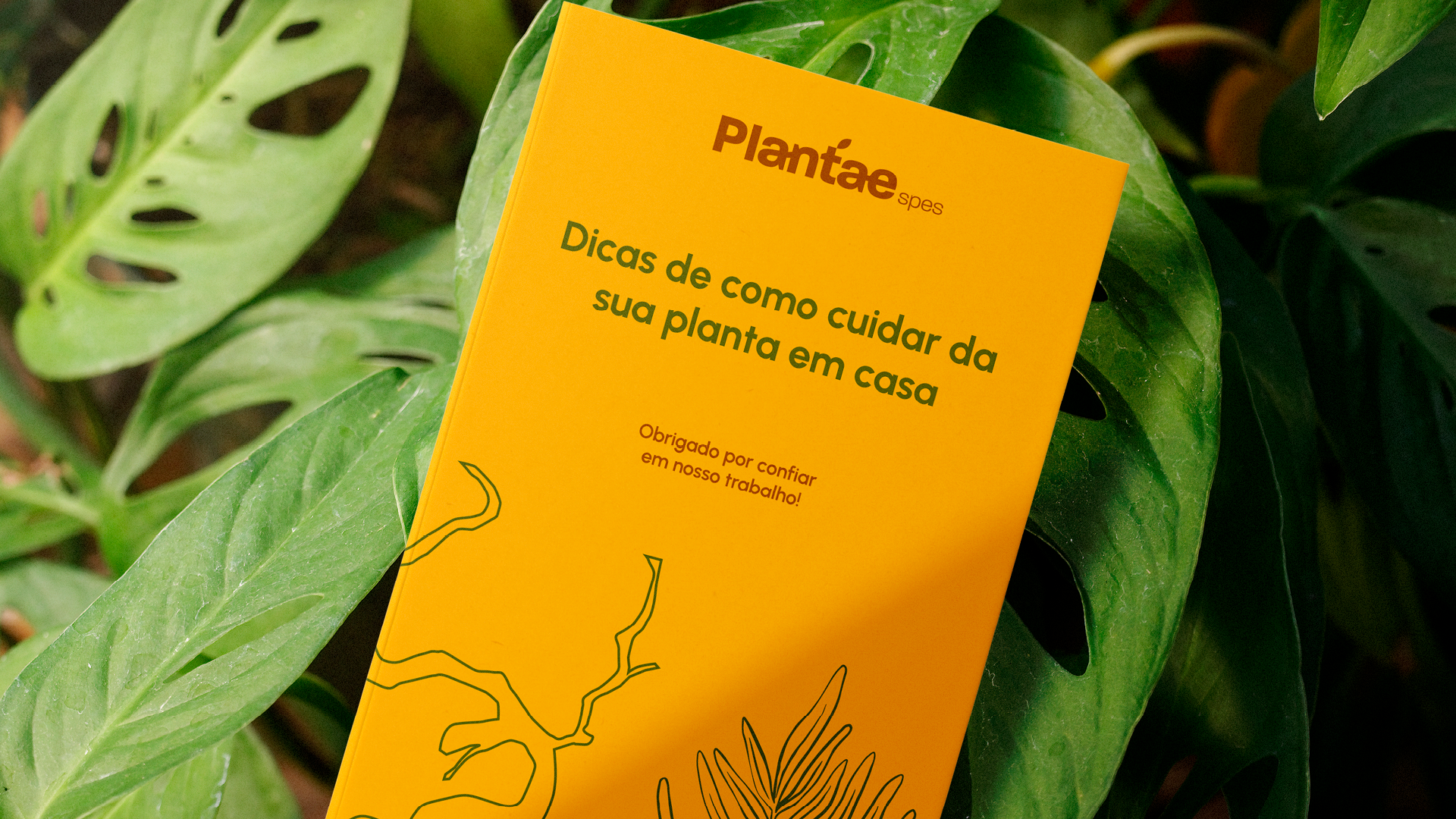 A letra a está escrita em preto sobre fundo verde.