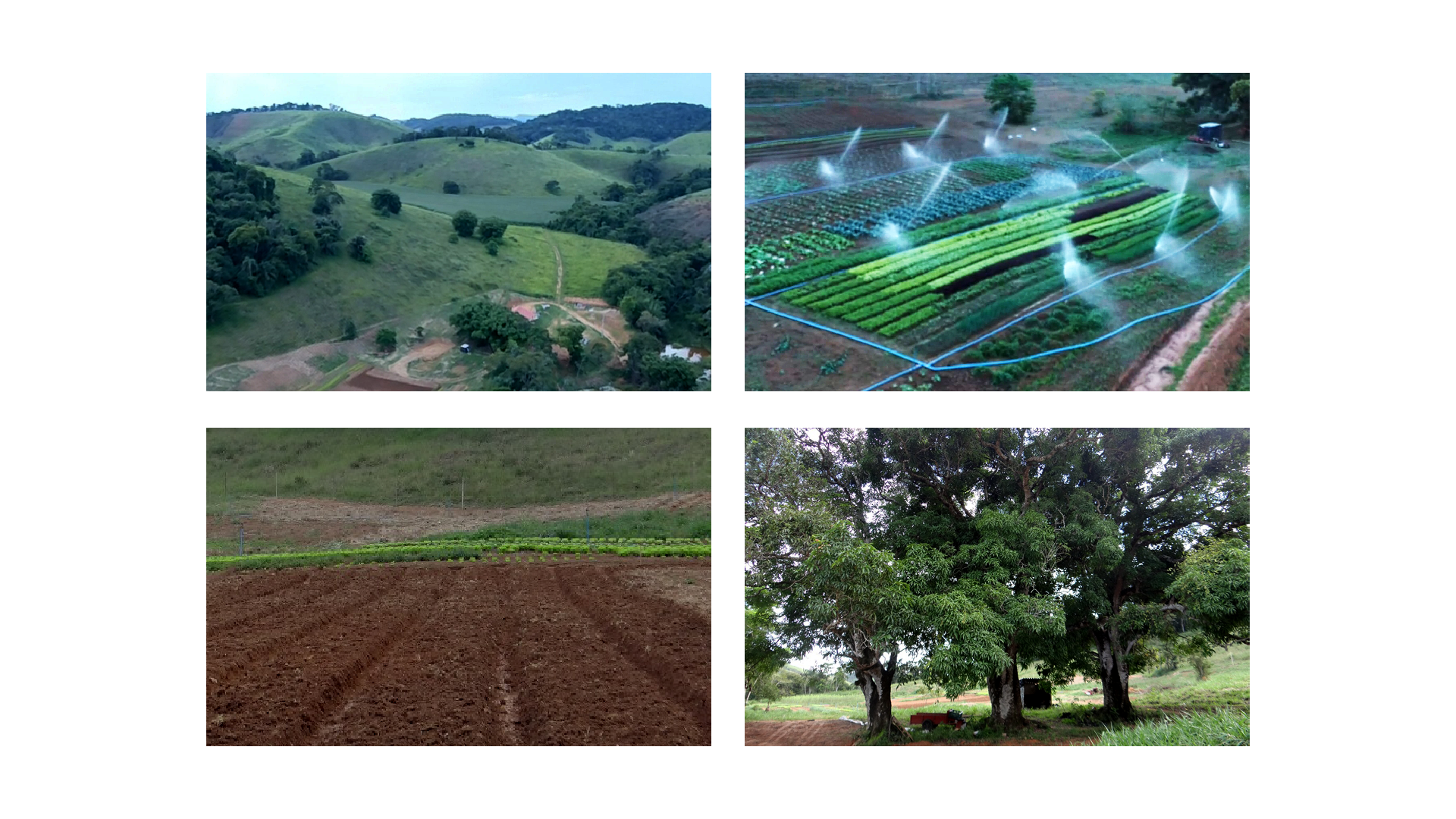 Uma colagem de quatro fotos de diferentes tipos de paisagens.