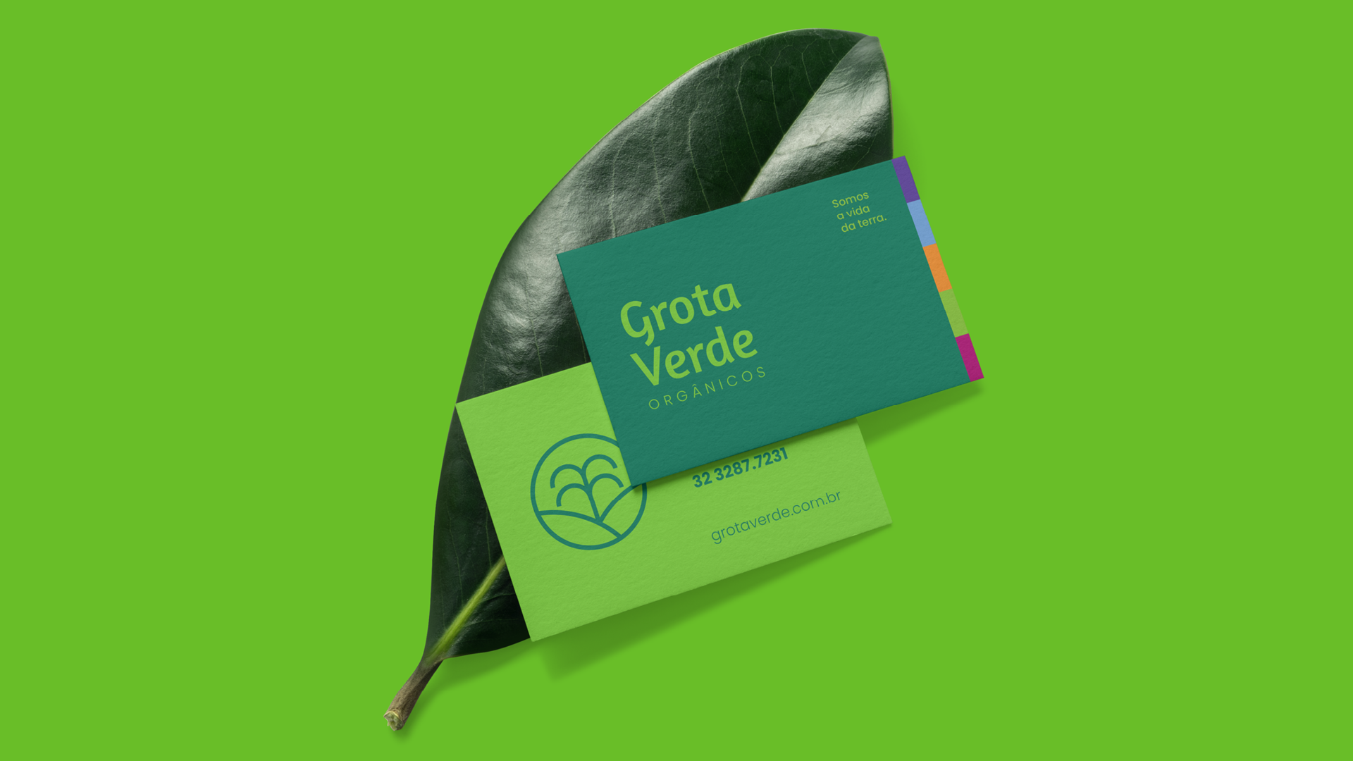 Um cartão de visita está em cima de uma folha verde.