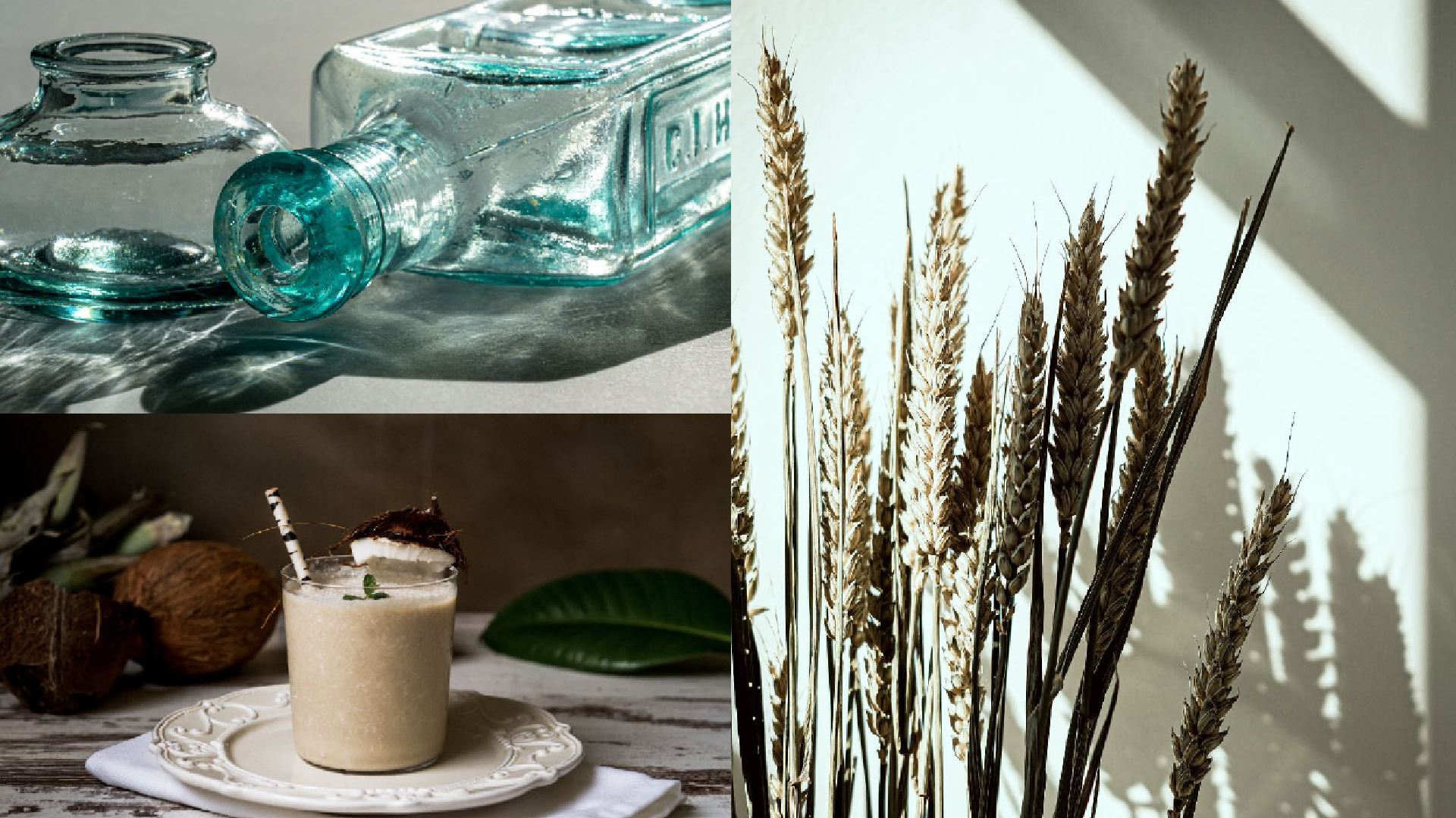 Uma colagem de três fotos mostra uma garrafa, um smoothie e uma planta.