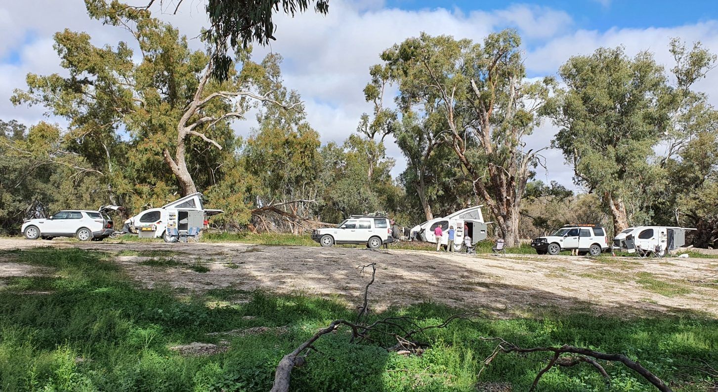 A group of white off-road vehicles and campers parked in a sunny, wooded clearing with tall trees and patchy ground.
