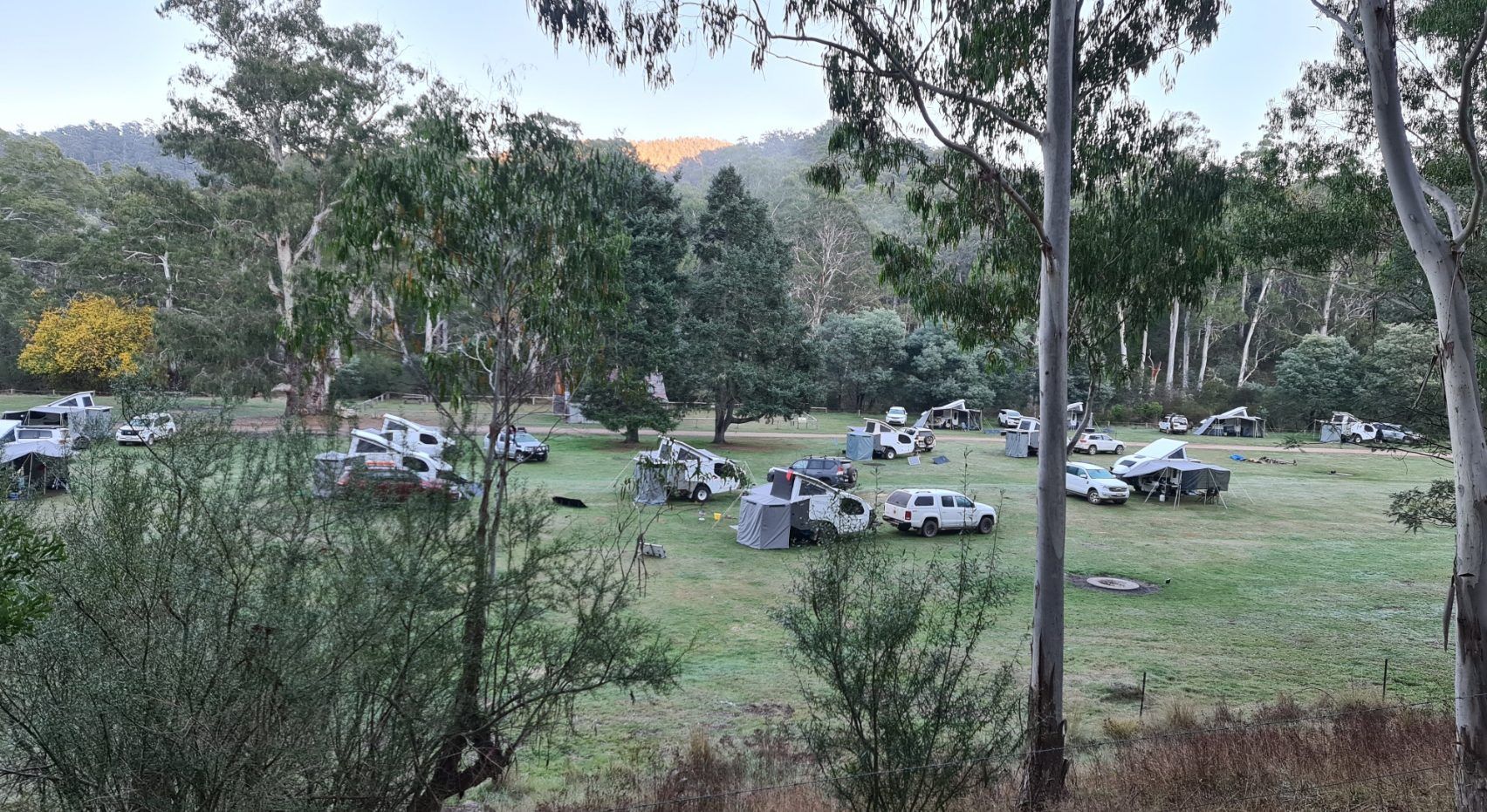 A grassy campground in a forest clearing featuring parked cars, campers, and tents under a clear sky.