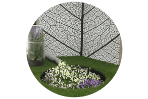 award-winning garden designs