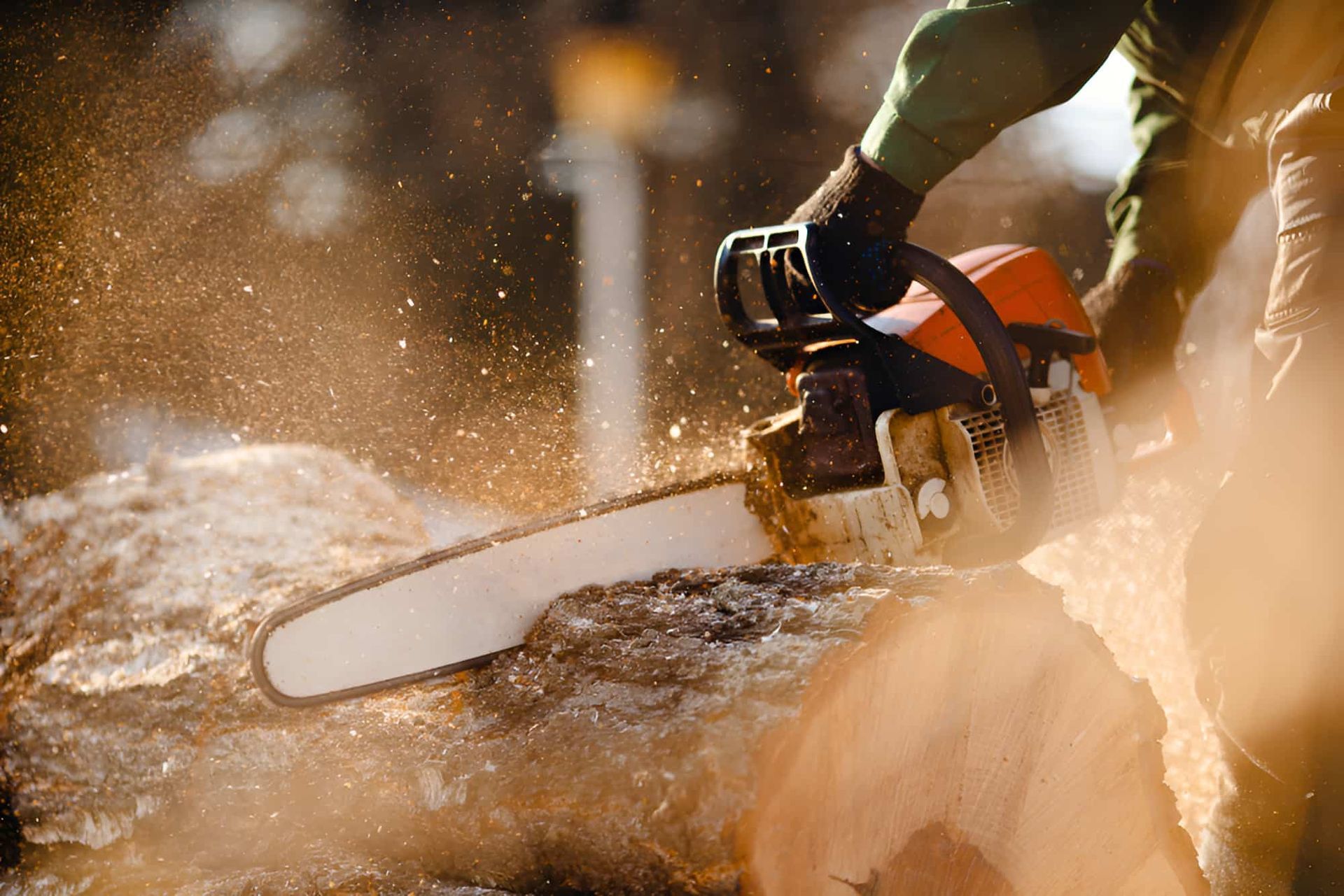 A Man Is Using A Chainsaw To Cut A Large Log — Limburg Lawn & Property Maintenance In Hyde Park, QLD