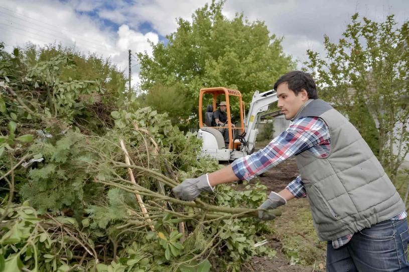 A Man Is Standing In Front Of A Pile Of Branches — Limburg Lawn & Property Maintenance In Hyde Park, QLD