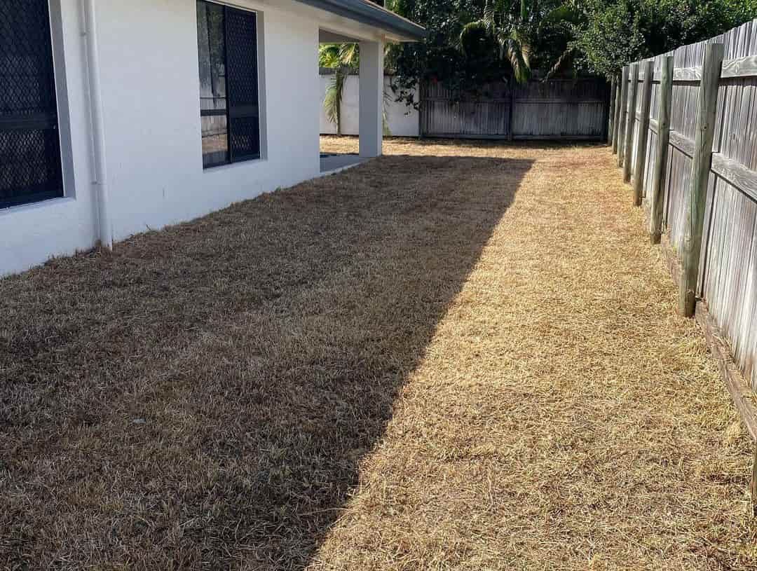 A House With A Fence And A Lot Of Grass In Front Of It — Limburg Lawn & Property Maintenance In Hyde Park, QLD