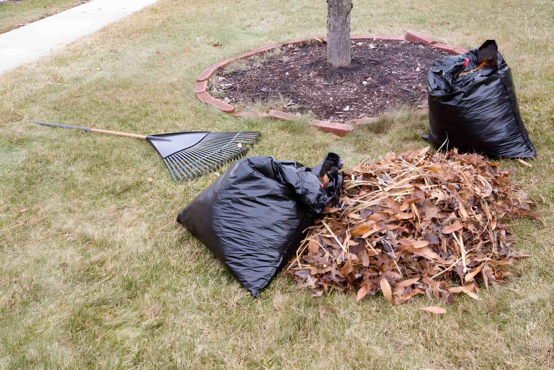 There Are Two Bags Of Leaves And A Rake On The Grass — Limburg Lawn & Property Maintenance In Hyde Park, QLD