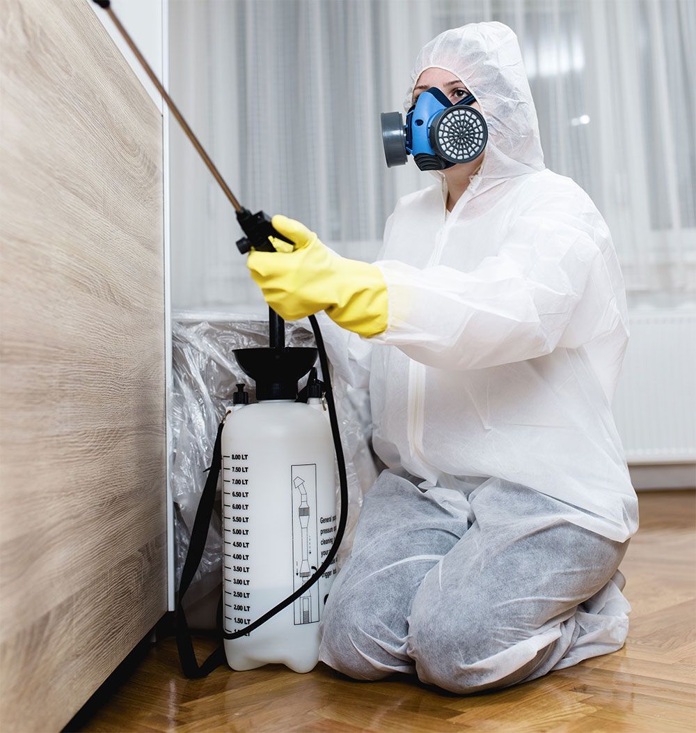 IPCS INTEGRAL PEST CONTROL SERVICES