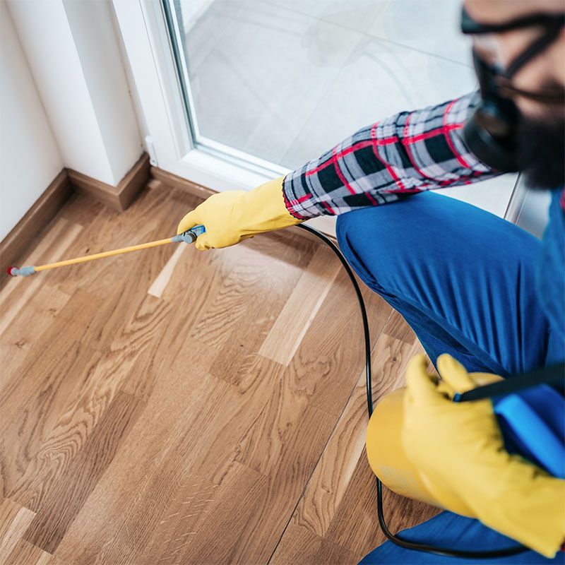 IPCS INTEGRAL PEST CONTROL SERVICES IPCS INTEGRAL PEST CONTROL SERVICES