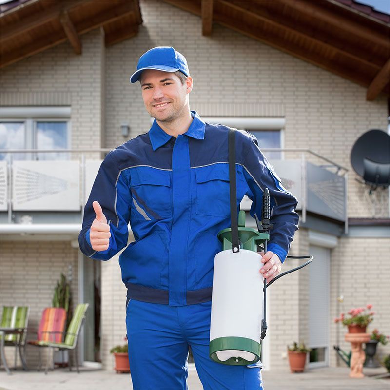 IPCS INTEGRAL PEST CONTROL SERVICES IPCS INTEGRAL PEST CONTROL SERVICES