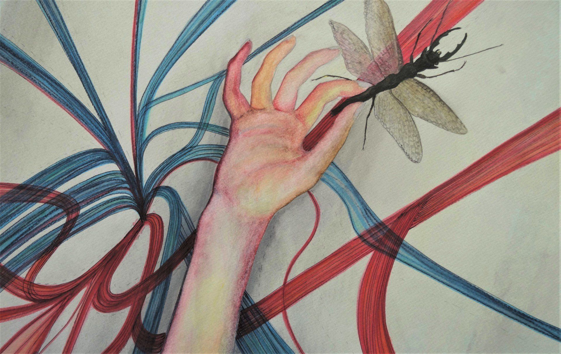 Hellen Abma, Natuurhistorisch, insectenpopulatie, insect population