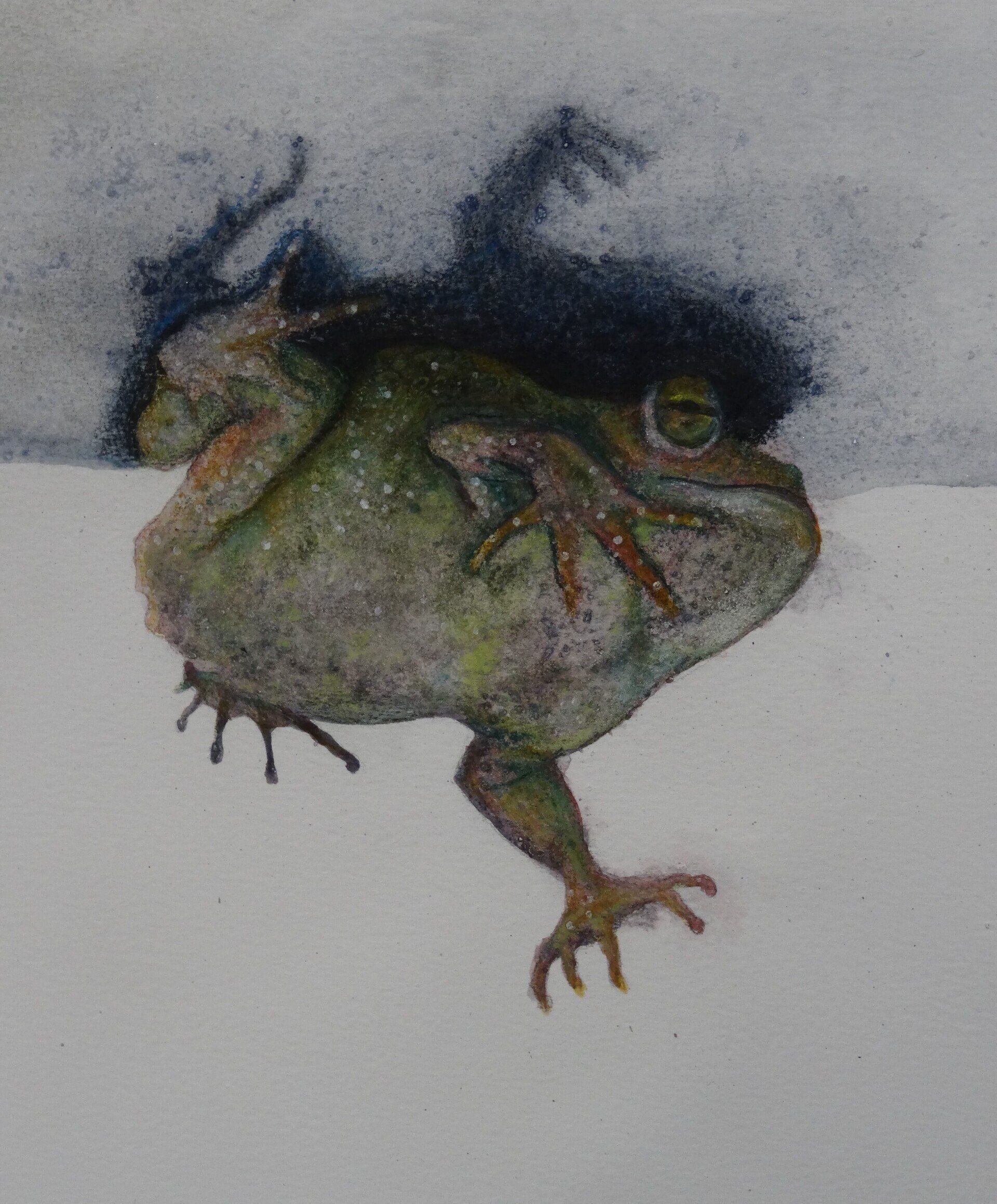 D.D.D.
Dagelijks Dood Dier