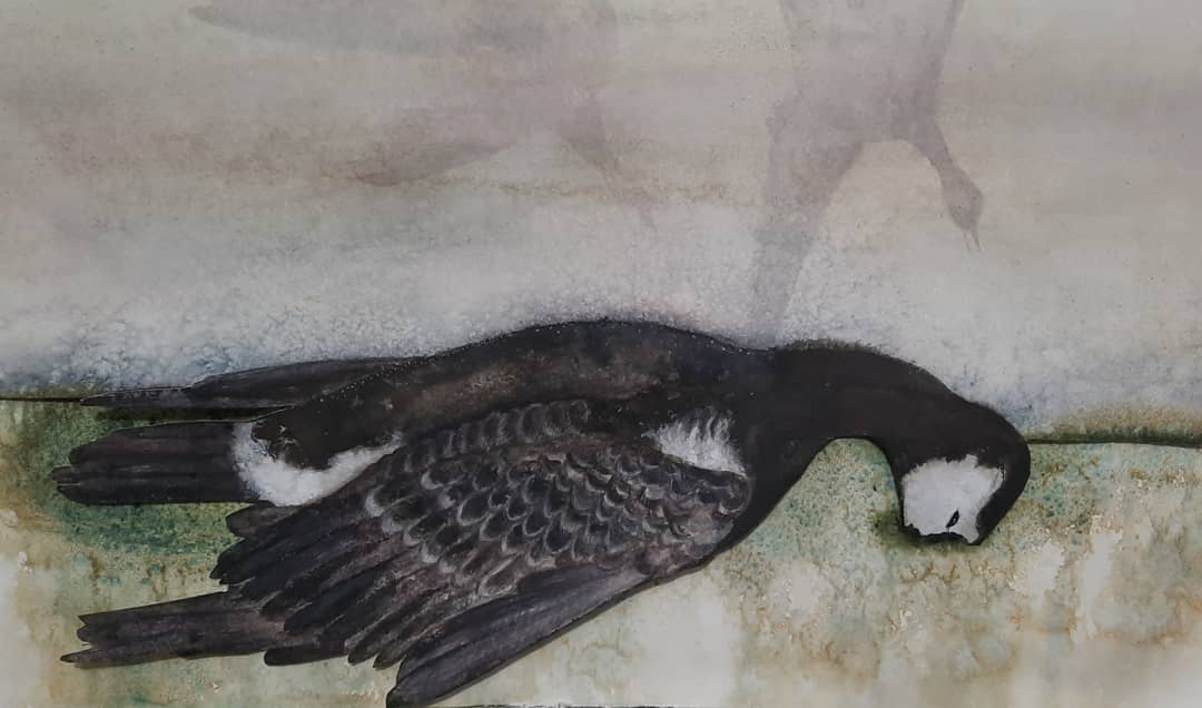 A black and white duck is laying on the ground in a painting.
