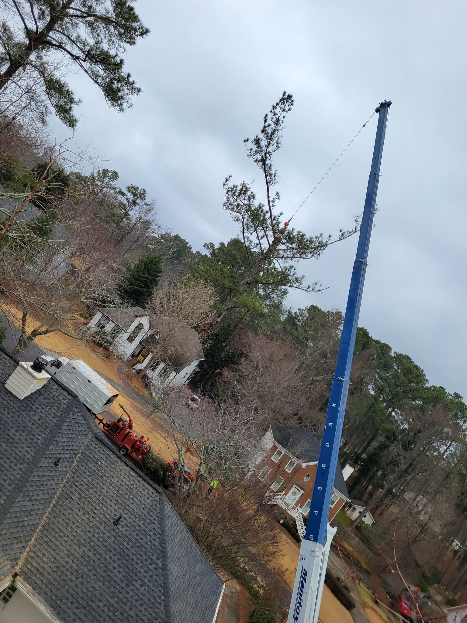 Blue lift crane extended, reaching a tall tree; houses and greenery visible on a cloudy day.